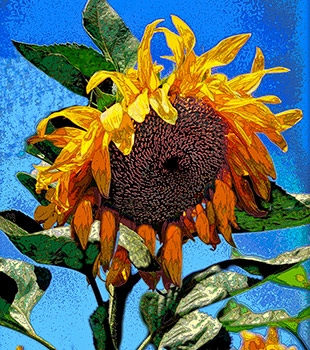 Just Fine Art - Art Print