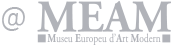 MEAM logo