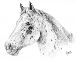 Just fine art artist