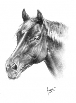 Just fine art artist