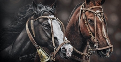 Just fine art artist