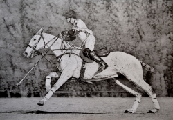 Just fine art artist