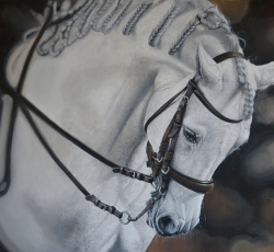 Martin Rodriguez Rio