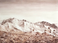 Just fine art artist