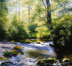 Fernando Saenz Pedrosa